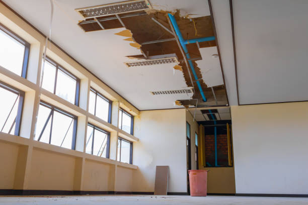 Best Water damage restoration near me  in Bowmanstown, PA