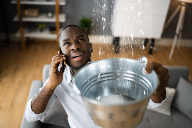 Best Water damage restoration process  in Bowmanstown, PA