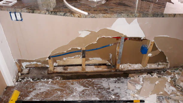 Best Water damage restoration company  in Bowmanstown, PA