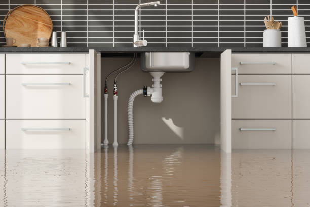 Best Carpet water damage restoration  in Bowmanstown, PA