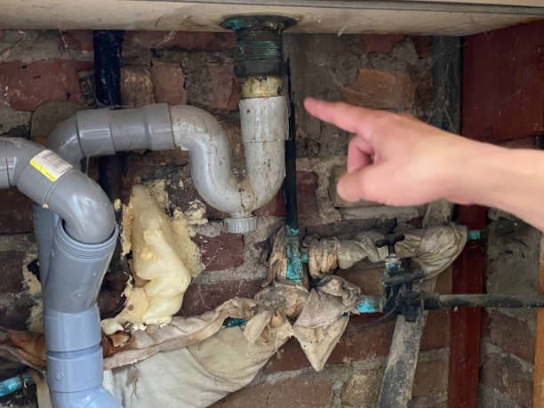 Best Water damage contractors near me  in Bowmanstown, PA