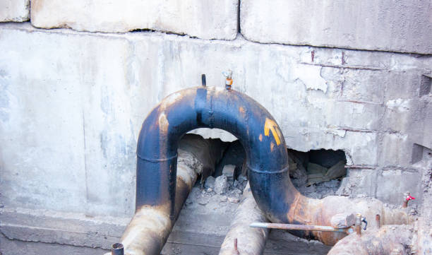 Best Professional water damage repair  in Bowmanstown, PA