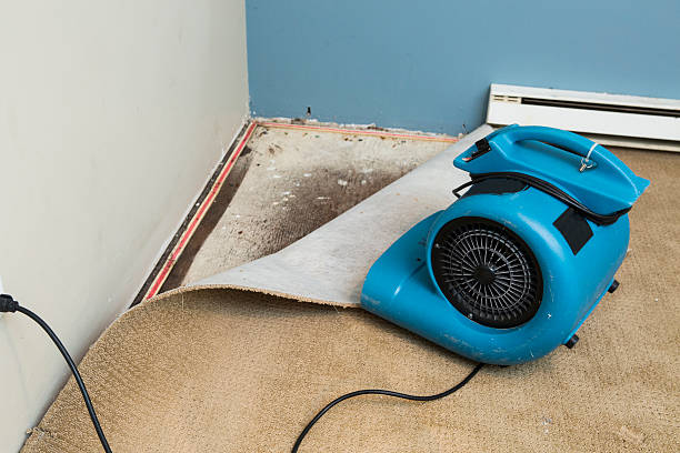 Best Water damage cleanup near me  in Bowmanstown, PA